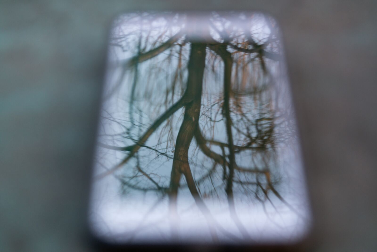 Samsung NX300 sample photo. Smartphome, tree, abspiegelung photography