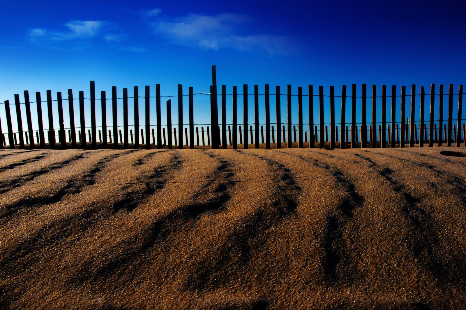 Nikon D300 sample photo. Nature, landscape, outdoors photography
