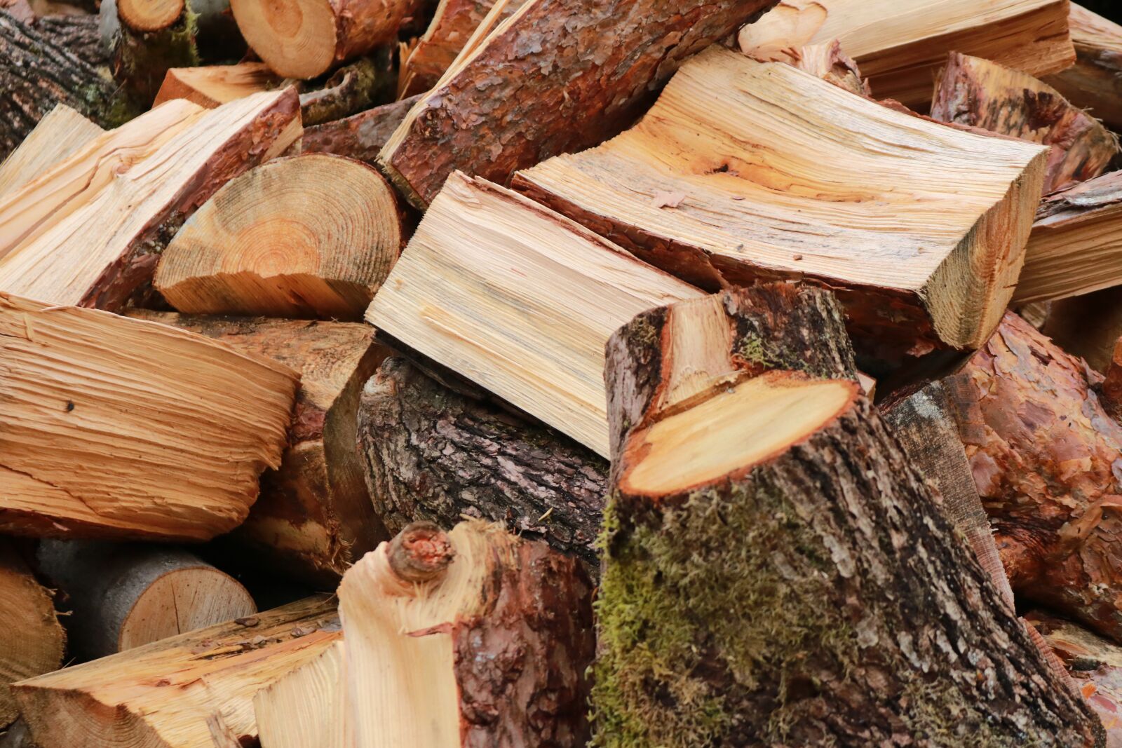 Canon EOS 750D (EOS Rebel T6i / EOS Kiss X8i) sample photo. Wood, the background, background photography