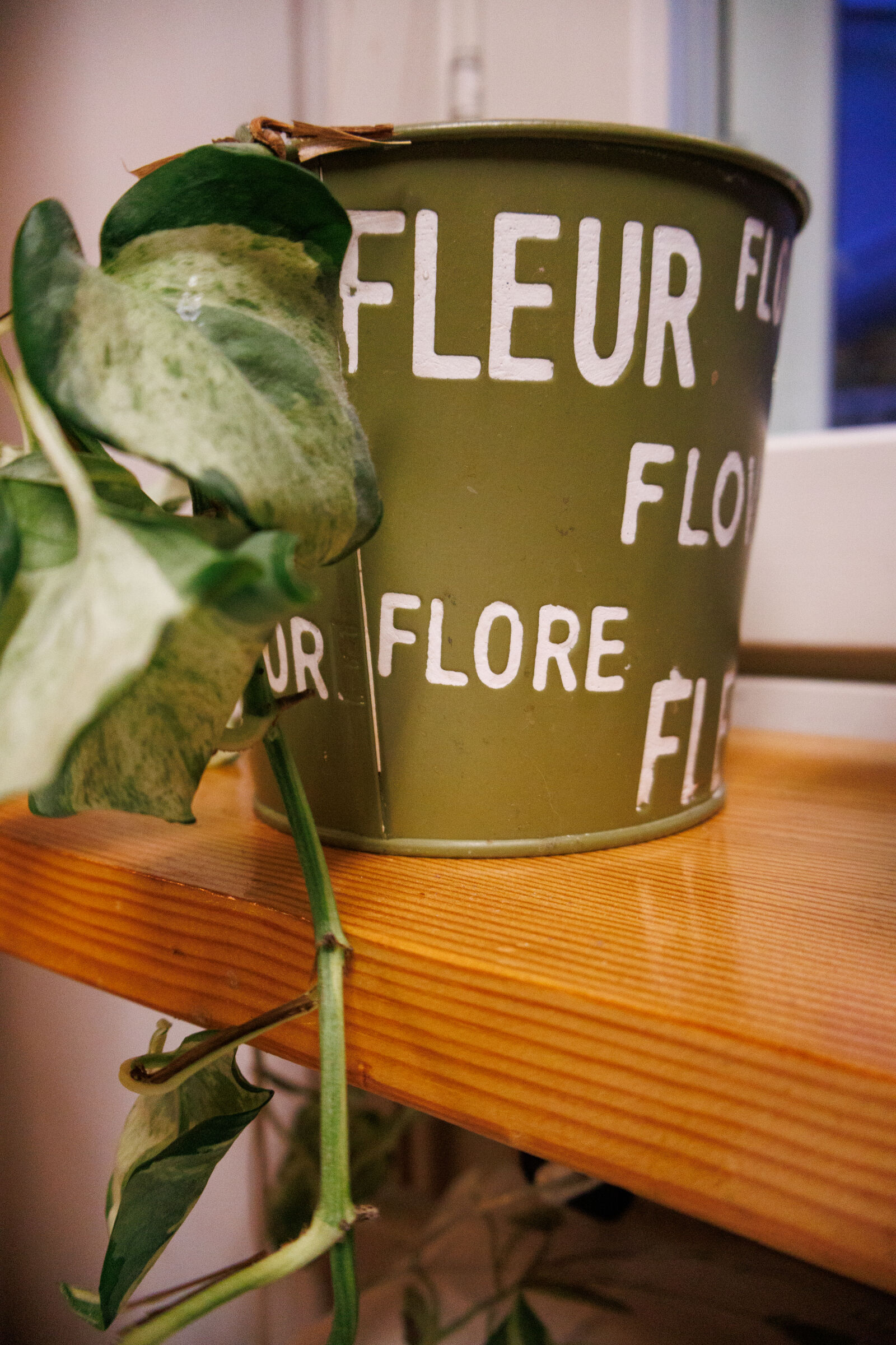 Canon EOS R50 sample photo. Flowerpot by the window photography