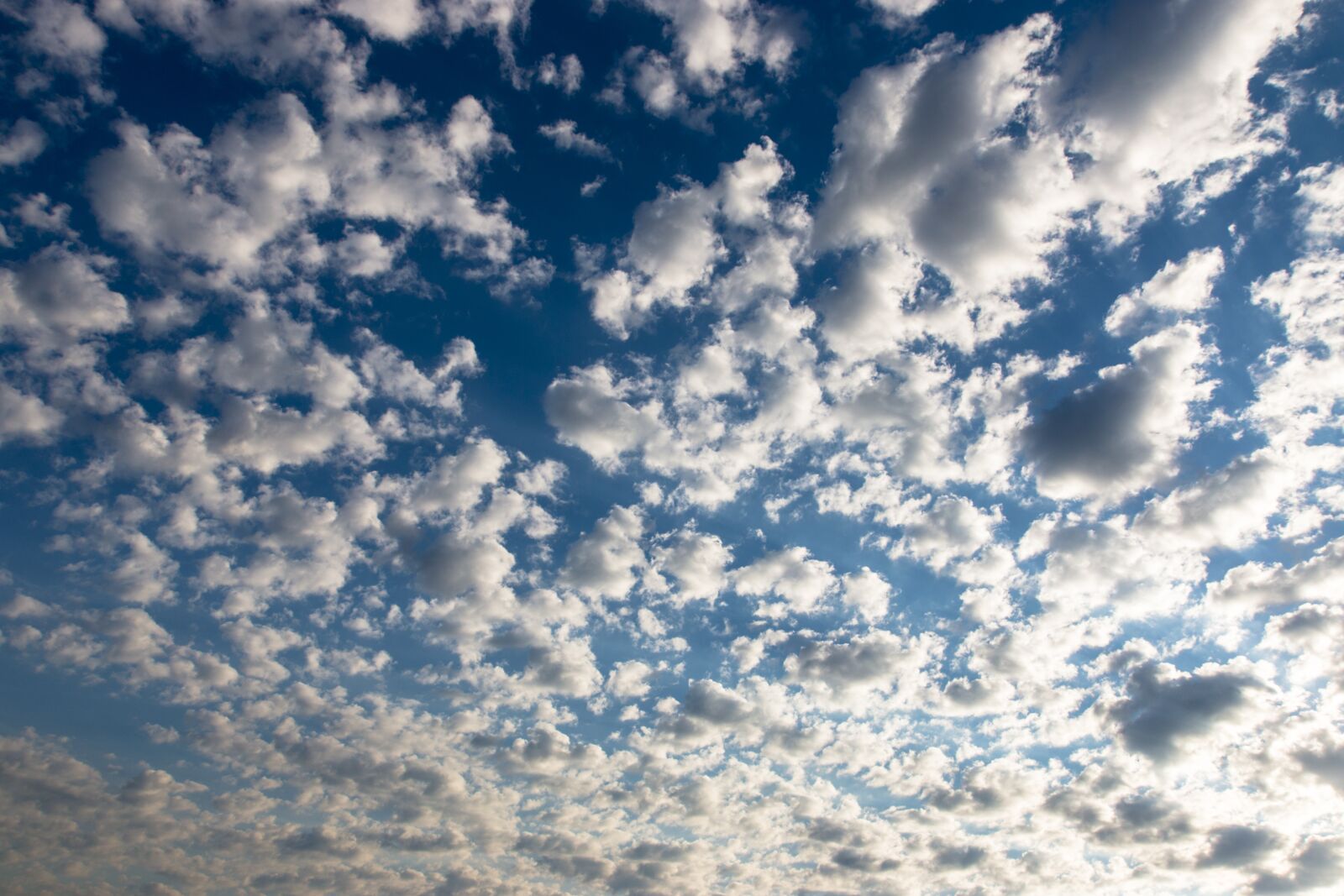 Canon EOS 70D sample photo. The sky, in the photography
