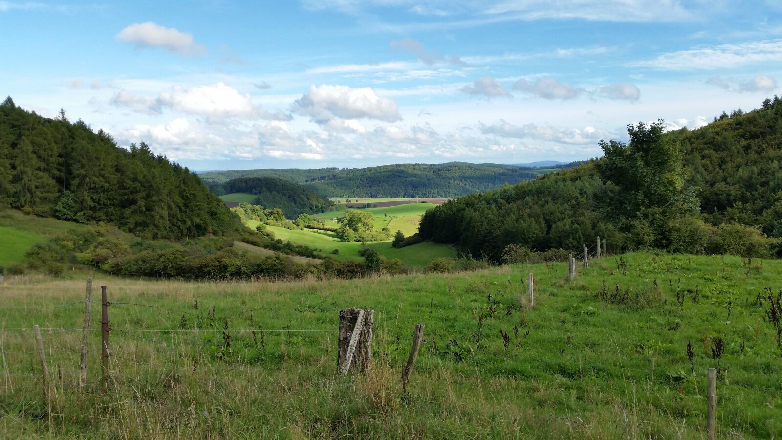 Samsung Galaxy S5 sample photo. Willingen, germany, nature photography