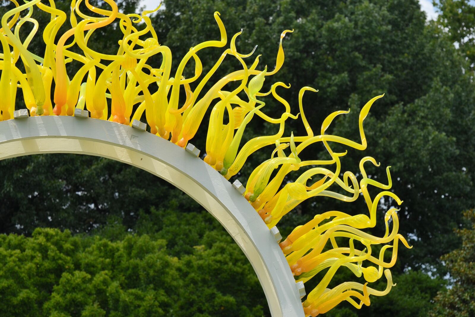Nikon D5100 sample photo. Glass, artwork, yellow photography
