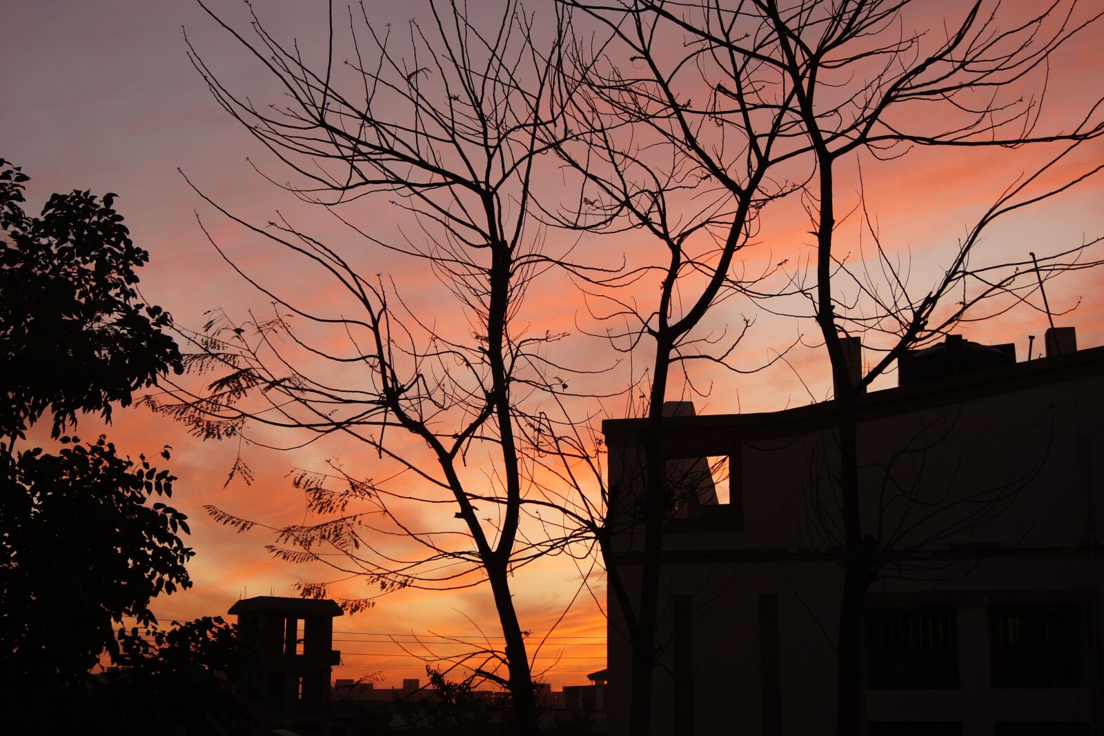 Sony Alpha DSLR-A500 sample photo. Nature, sky, sunset photography