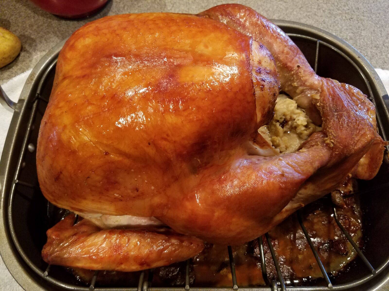 Samsung Galaxy S7 Edge sample photo. Turkey, thanksgiving, holiday photography
