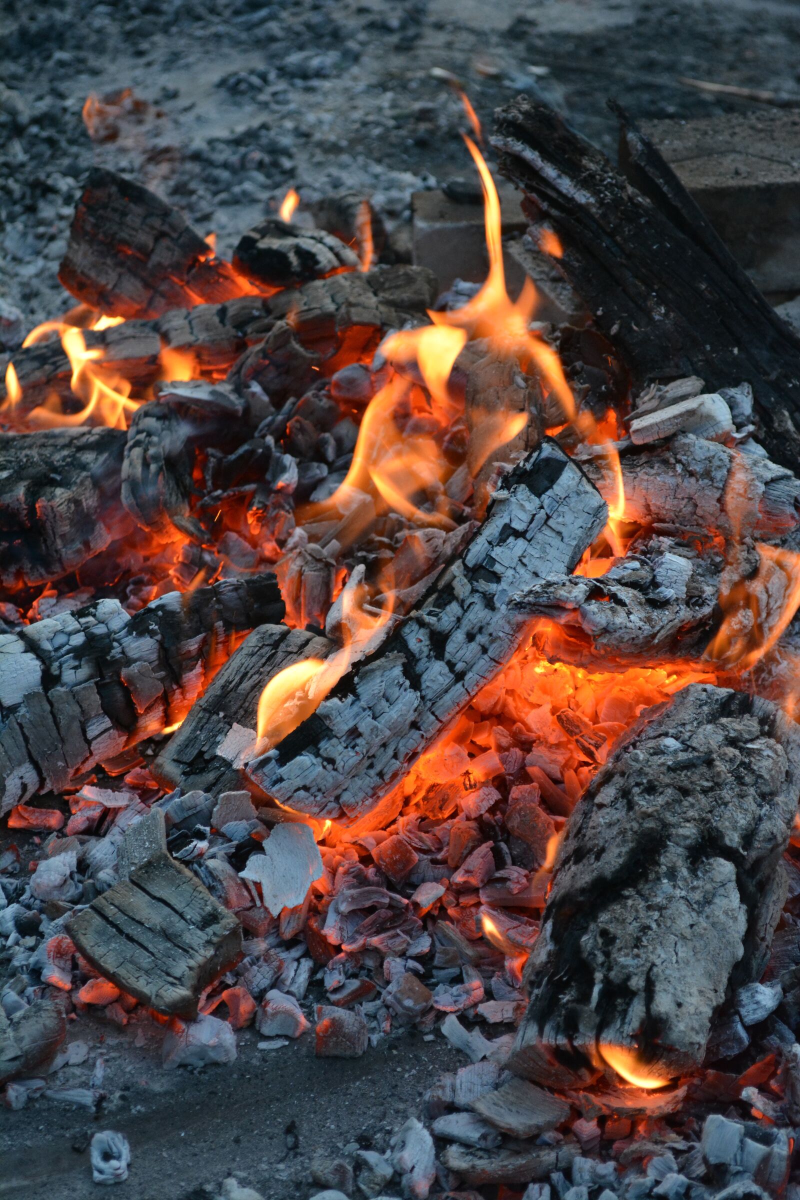 Nikon D5200 sample photo. Fire, fireplace, flame photography