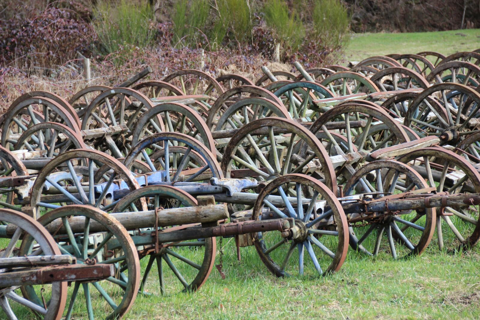 Canon EOS 600D (Rebel EOS T3i / EOS Kiss X5) sample photo. Wagon wheel, wheels, collection photography