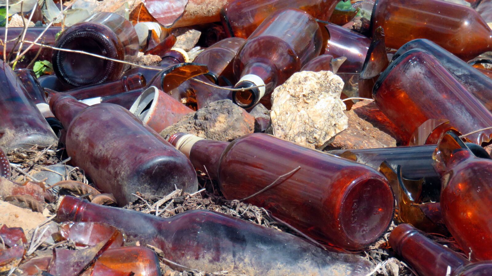 Canon PowerShot SX700 HS sample photo. Bottles, brown, glass photography