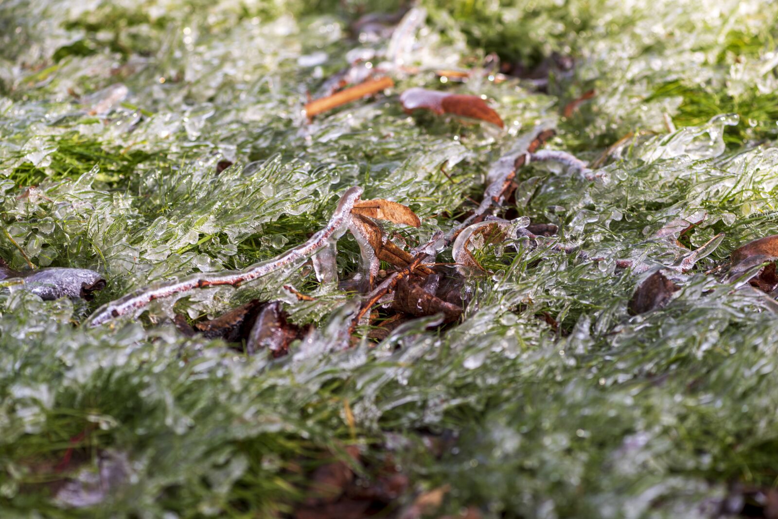 Nikon D750 sample photo. Ice, cold, winter photography