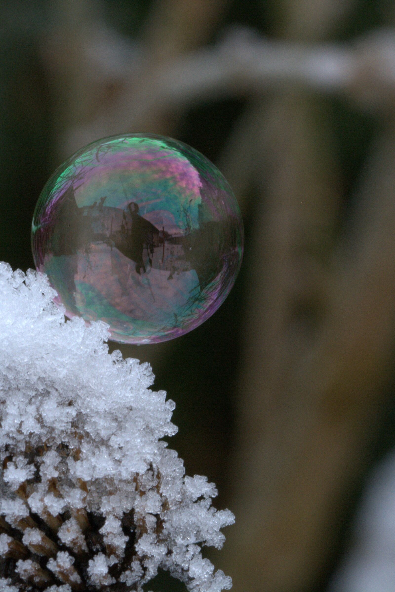 Nikon D5200 sample photo. Soap bubble, snow, frost photography