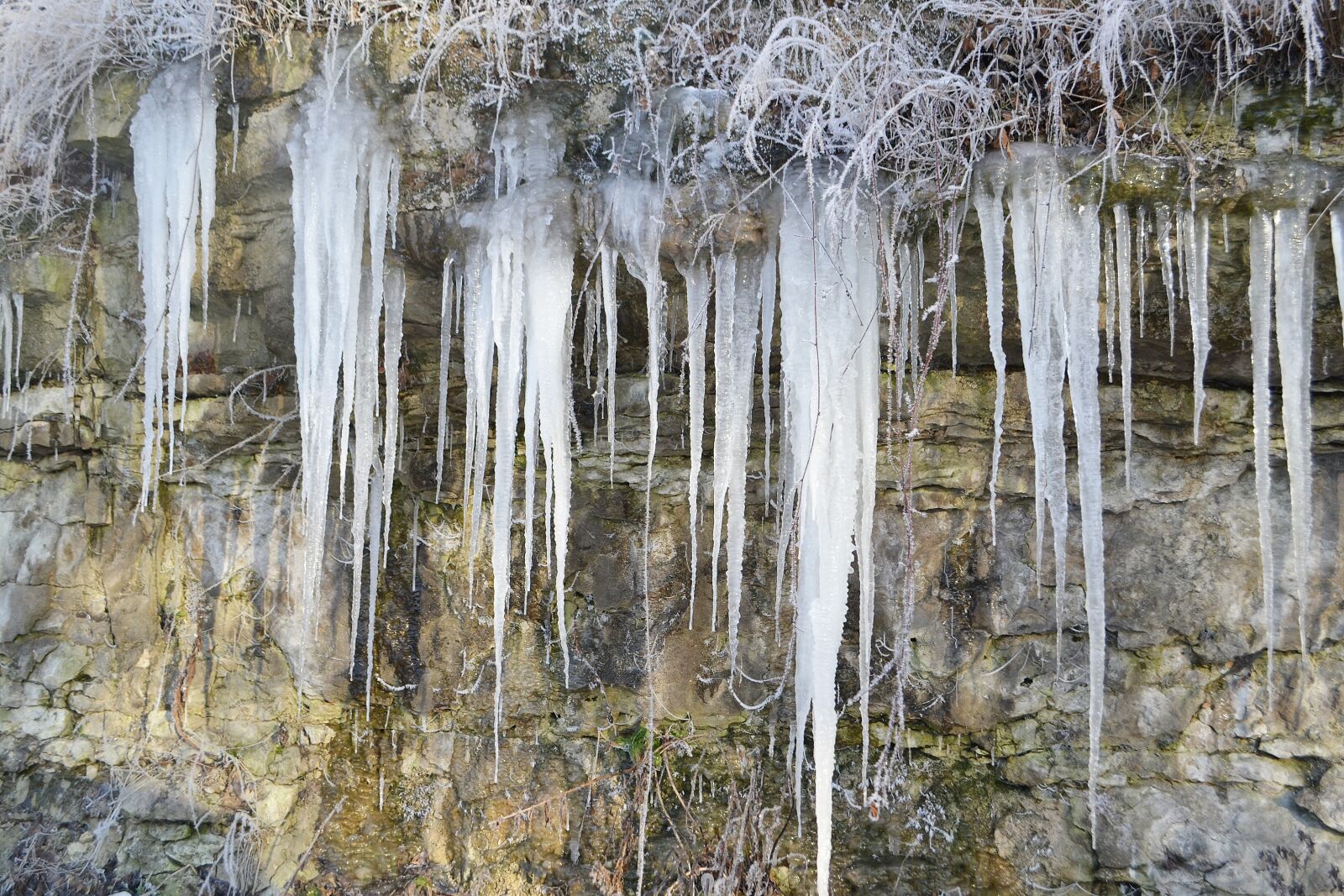 Nikon D3100 sample photo. Icicles, winter, snow photography
