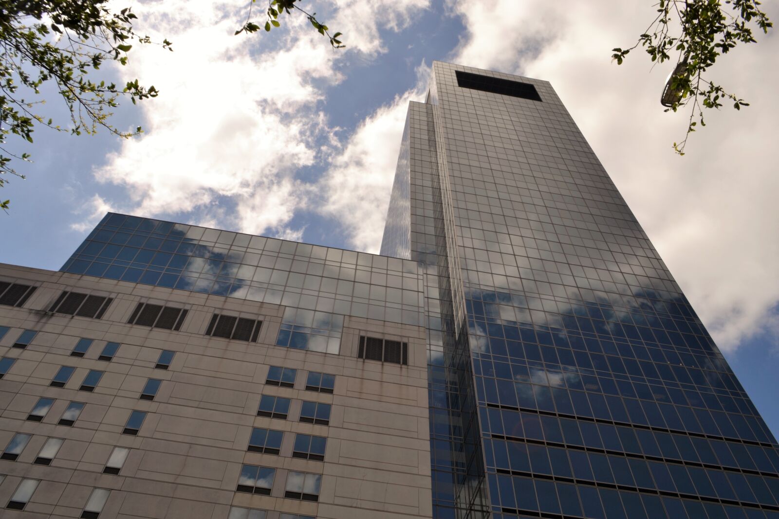 Nikon D3100 sample photo. Houston, texas, medical photography