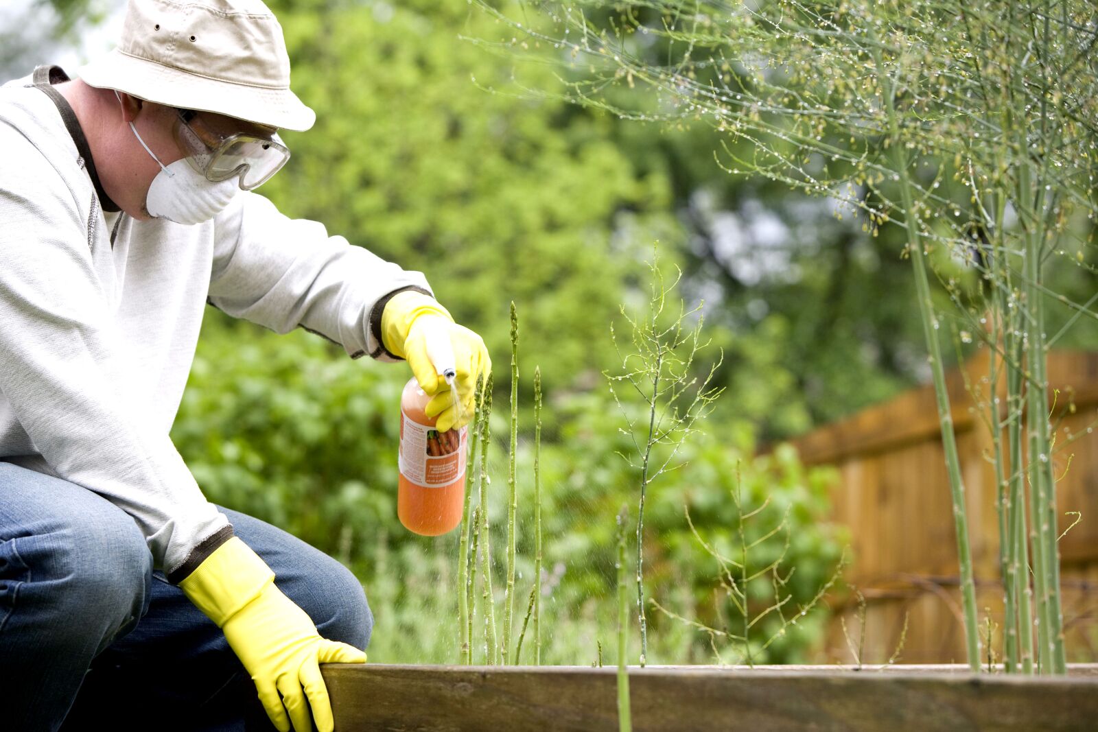 Canon EOS-1Ds Mark II sample photo. Reading instructions, man, pesticide photography