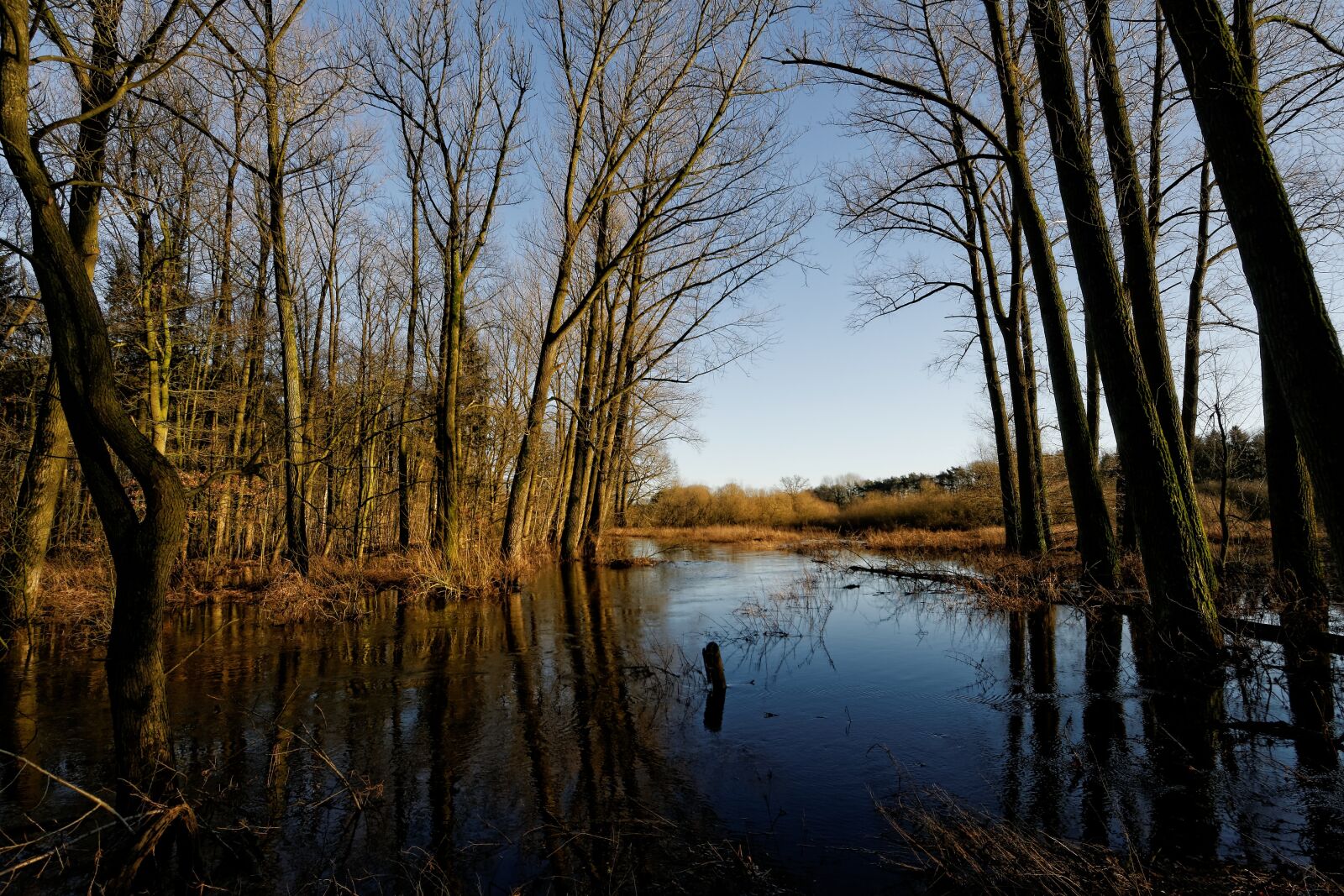 Nikon D300S sample photo. Oste, low stuff, flood photography