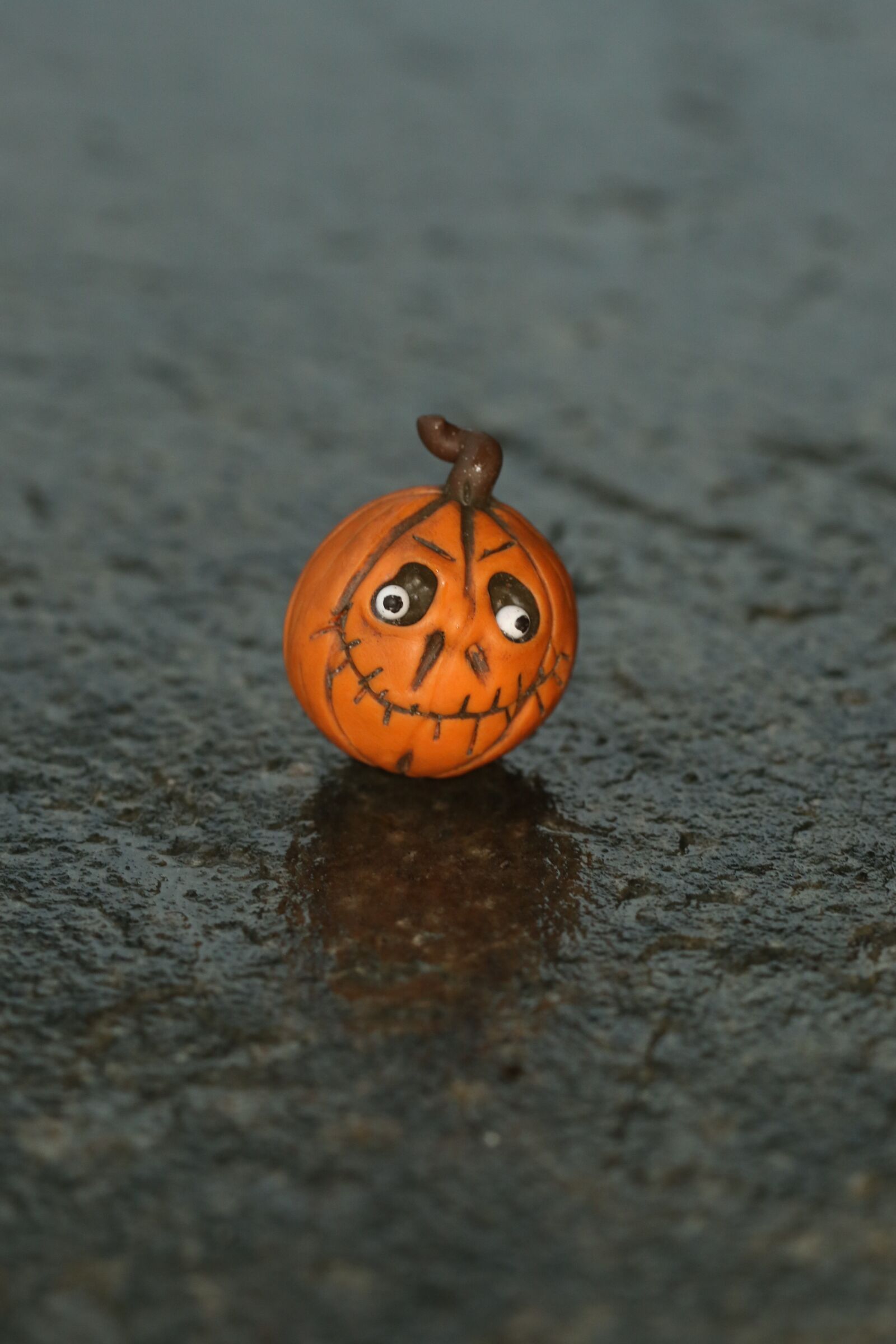 Canon EOS 7D Mark II sample photo. Pumkin, fall, autumn photography