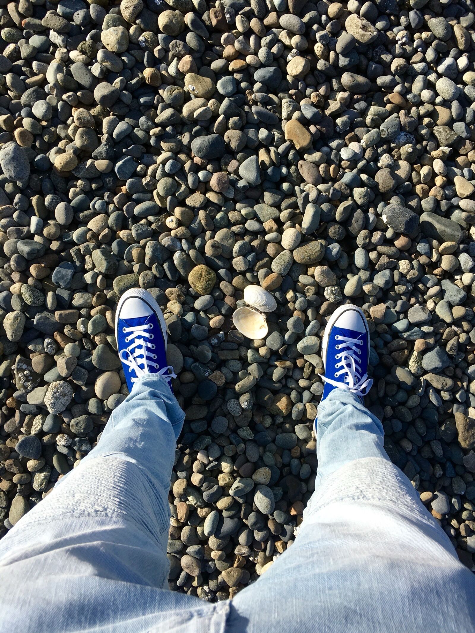 Apple iPhone 6s Plus sample photo. Rocks, stone, rock photography