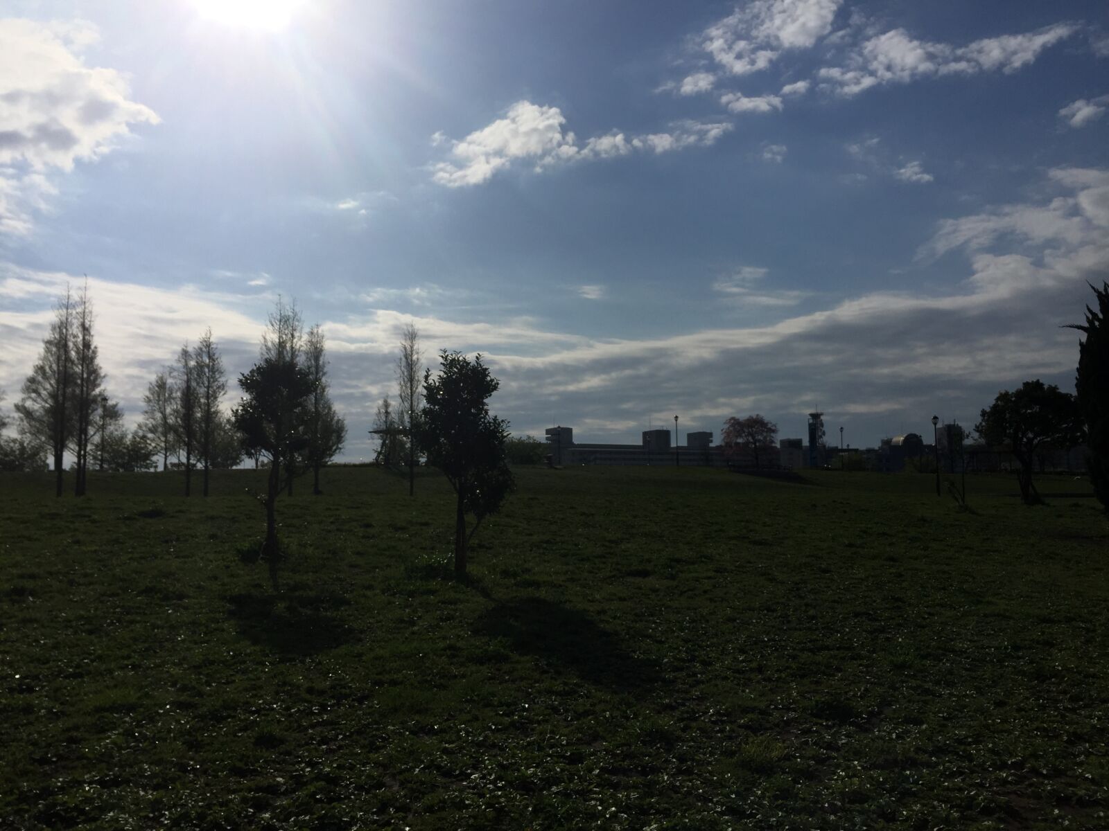 iPhone 6 back camera 4.15mm f/2.2 sample photo. Blue, sky photography