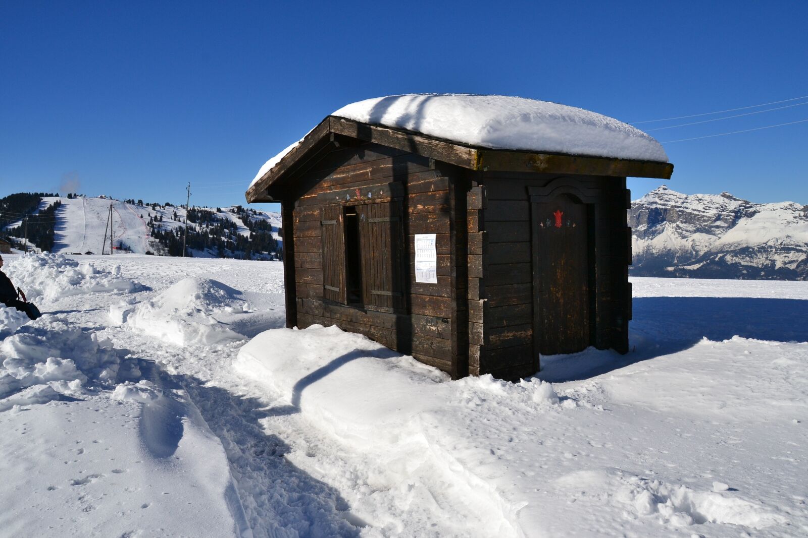 Nikon D3100 sample photo. Ski, alps, snow photography