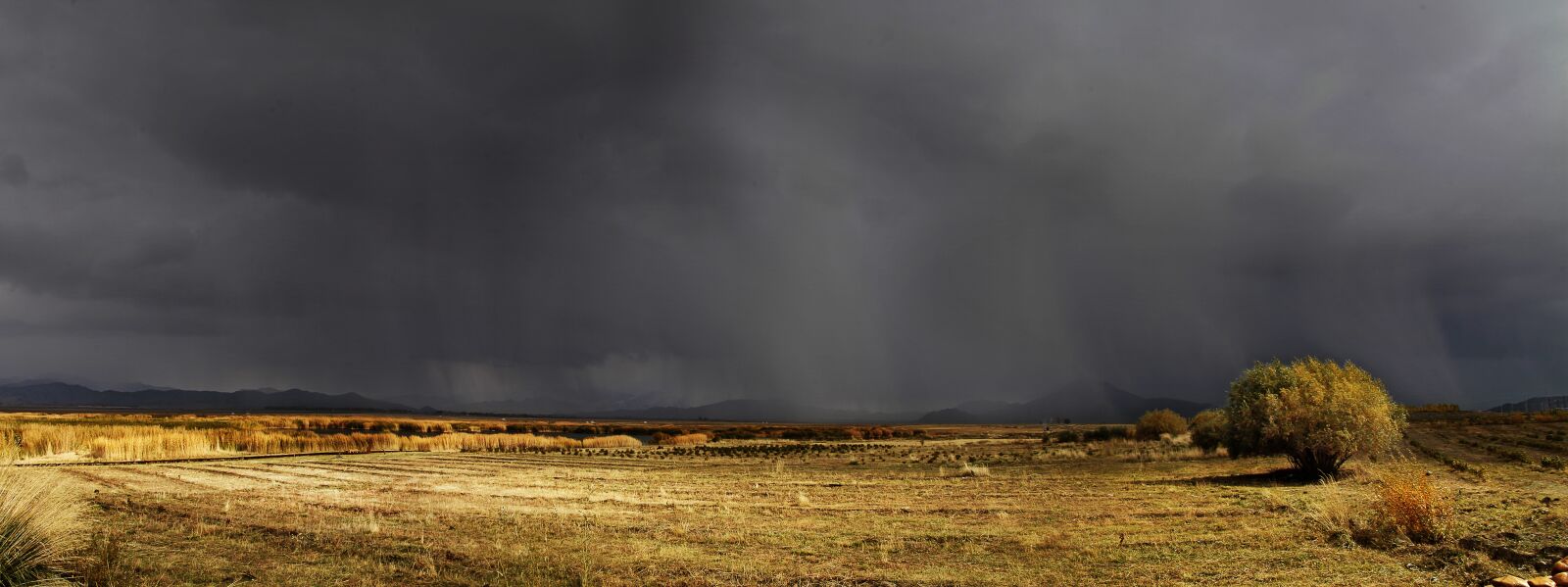 Canon EOS 5D Mark II sample photo. Prairie, dark clouds, autumn photography