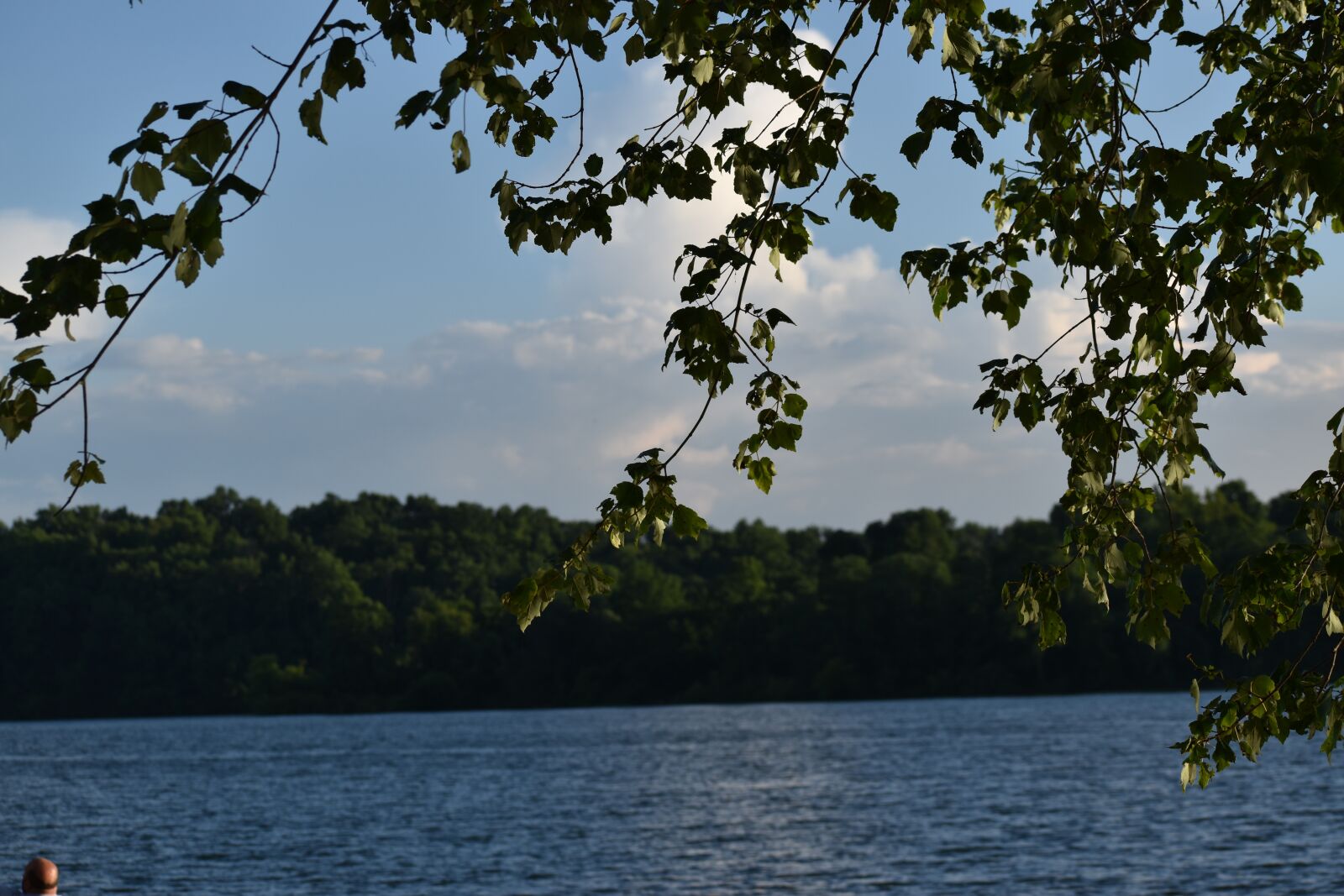 Nikon D5600 sample photo. Water, lake, nature photography