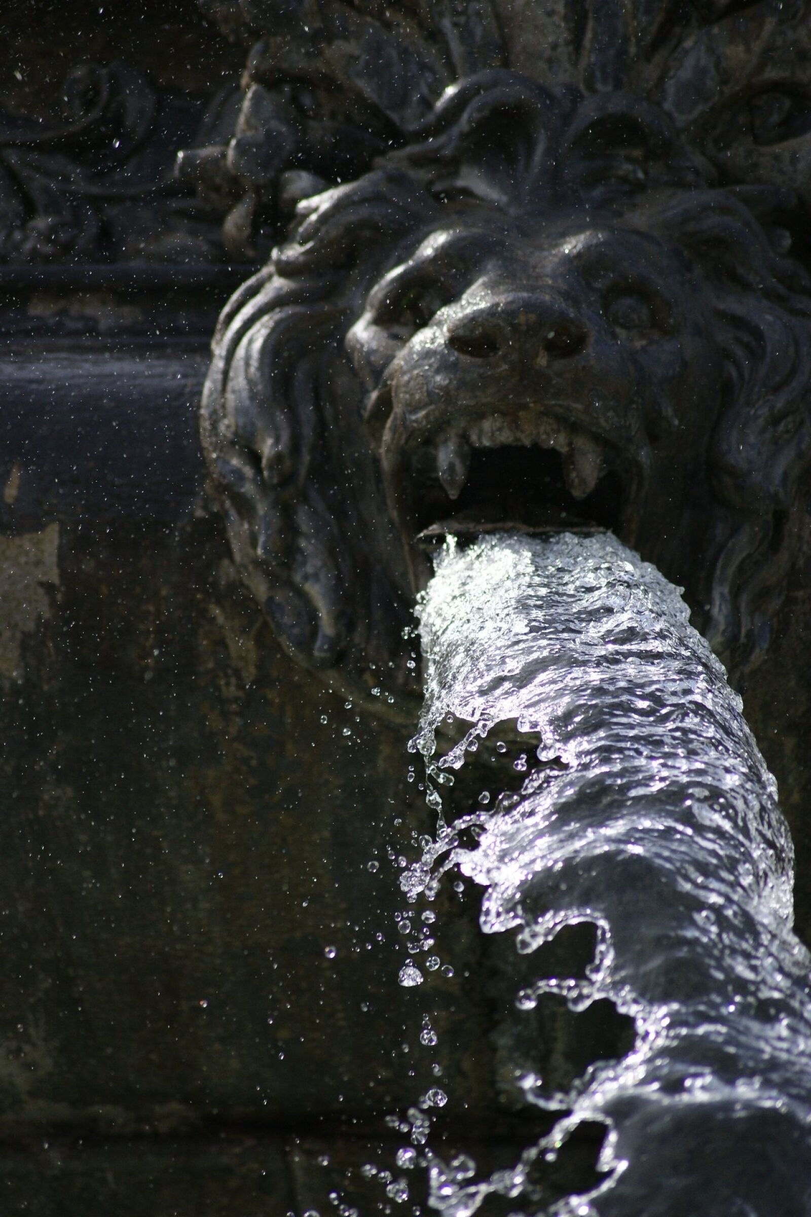 Sony Alpha DSLR-A230 sample photo. Fountain, lion, water photography