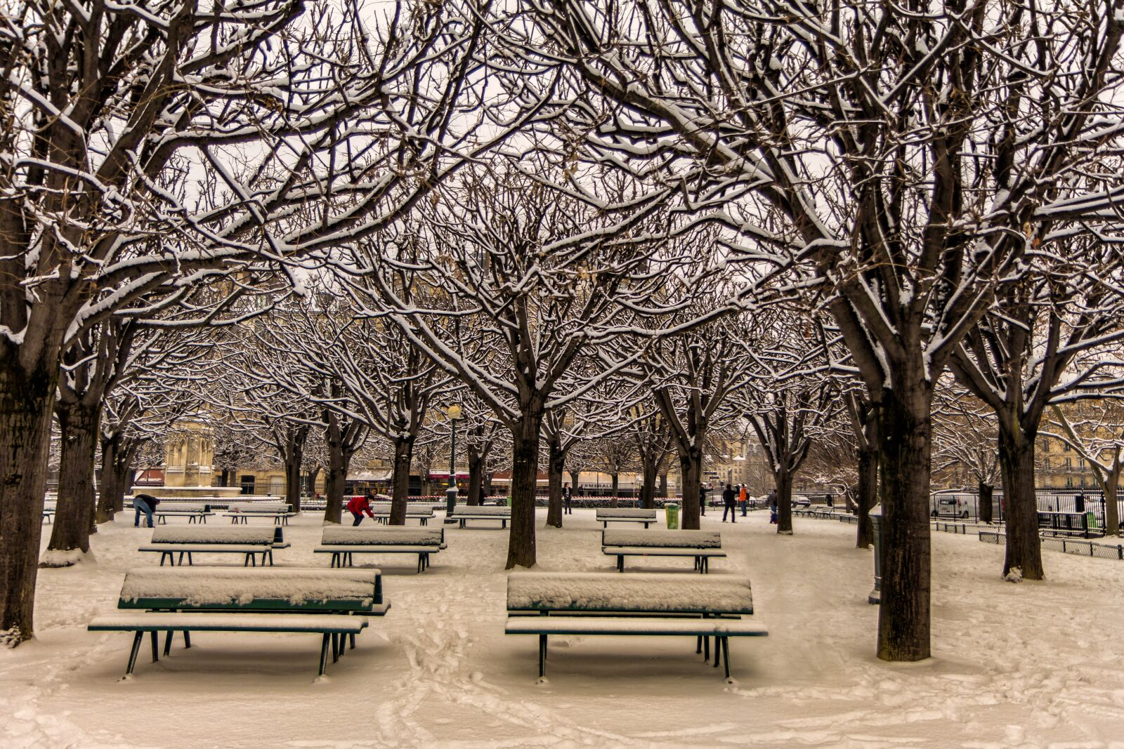 Canon EOS 60D sample photo. Tree, winter, snow photography