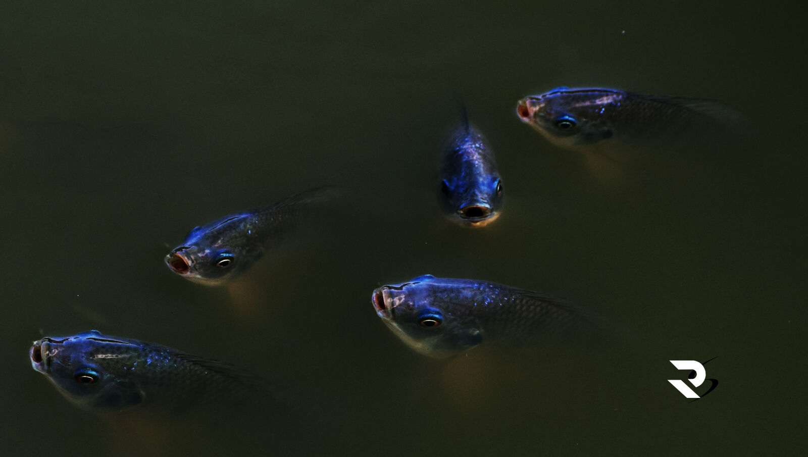 Nikon D3300 sample photo