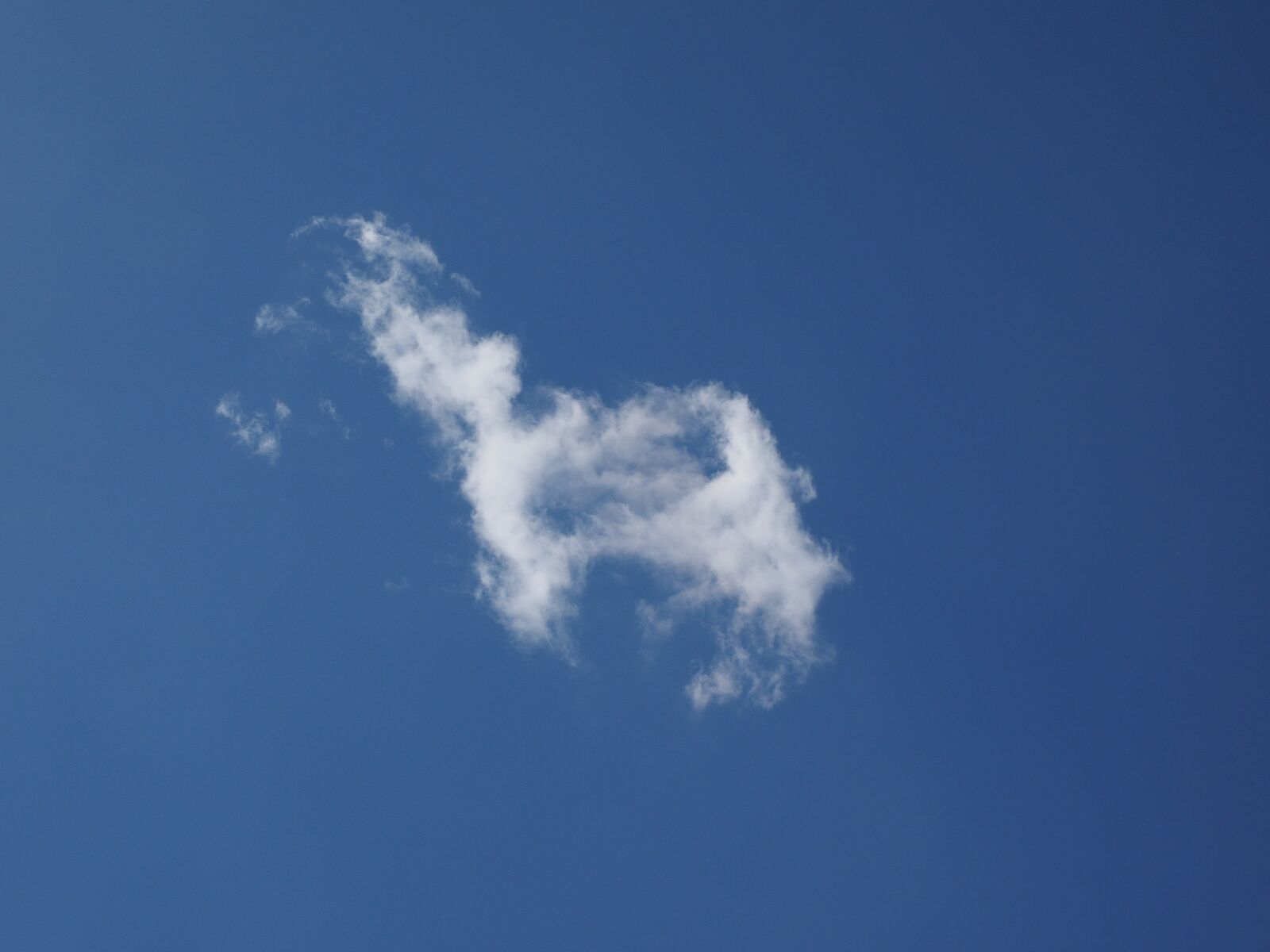Olympus OM-D E-M1 + Olympus M.Zuiko Digital ED 12-40mm F2.8 Pro sample photo. Sky, cloud, summer day photography