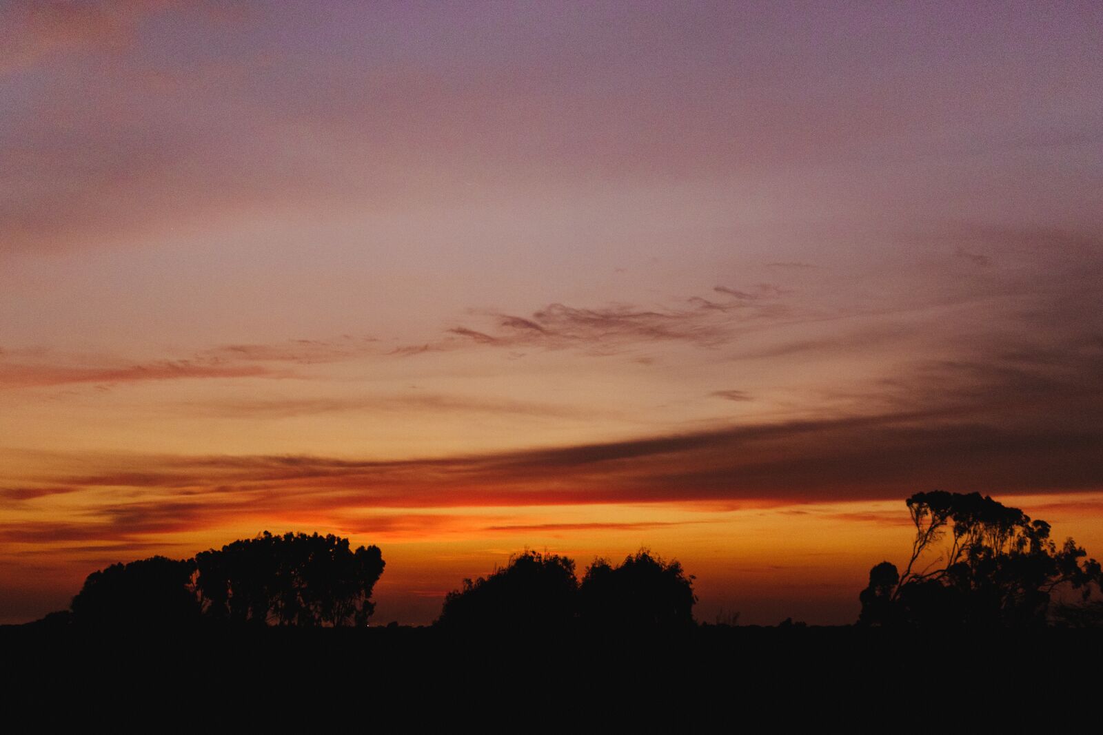 Canon EOS 750D (EOS Rebel T6i / EOS Kiss X8i) sample photo. Sunset, tree, nature photography