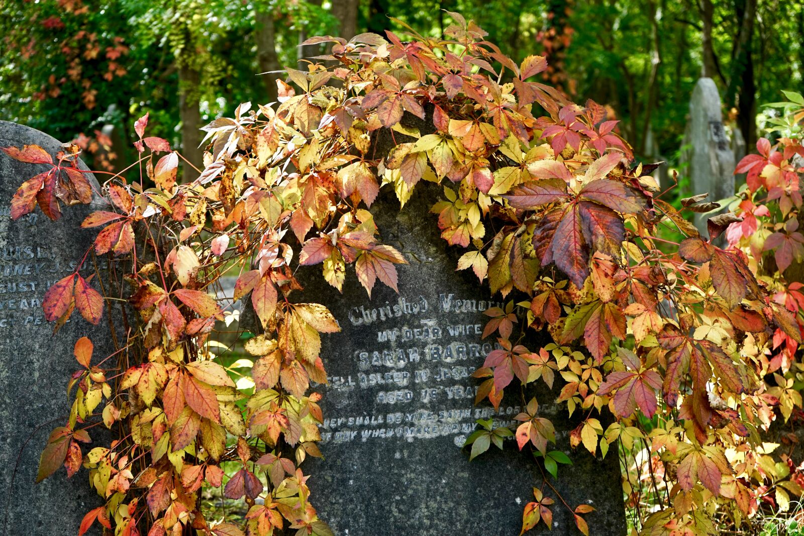 Sony a7 + Sony FE 28-70mm F3.5-5.6 OSS sample photo. Cemetery, stone, grave photography