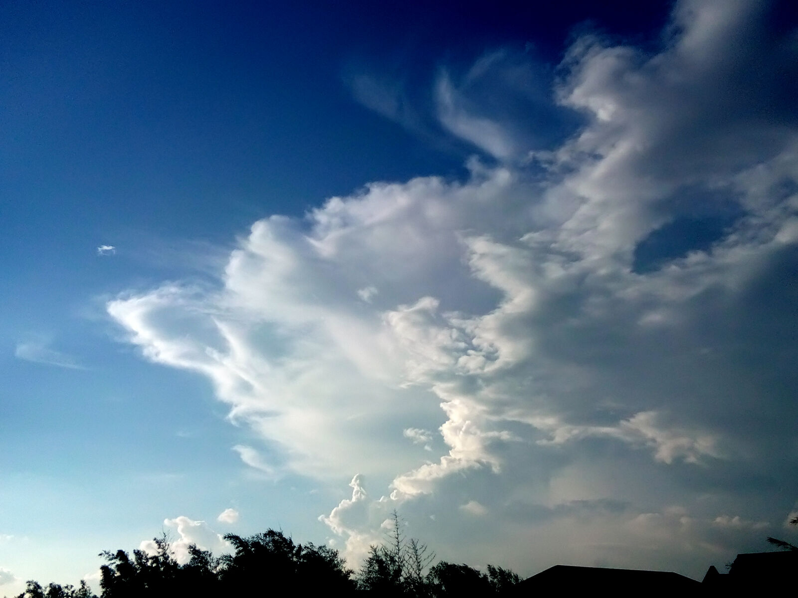 vivo Y22 sample photo. Blue, blue, skies, blue photography