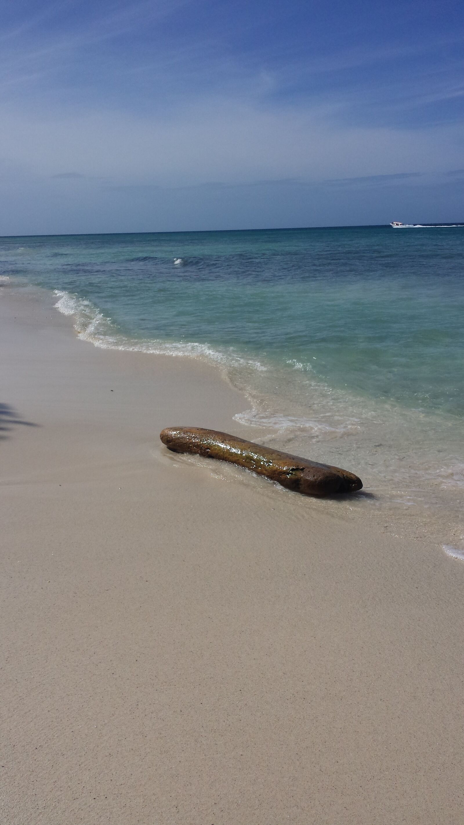 Samsung Galaxy S4 sample photo. Sea, wood, water photography