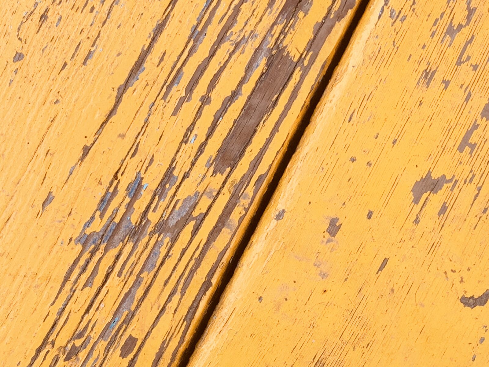 iPhone XR back camera 4.25mm f/1.8 sample photo. Wood, nature, rustic photography