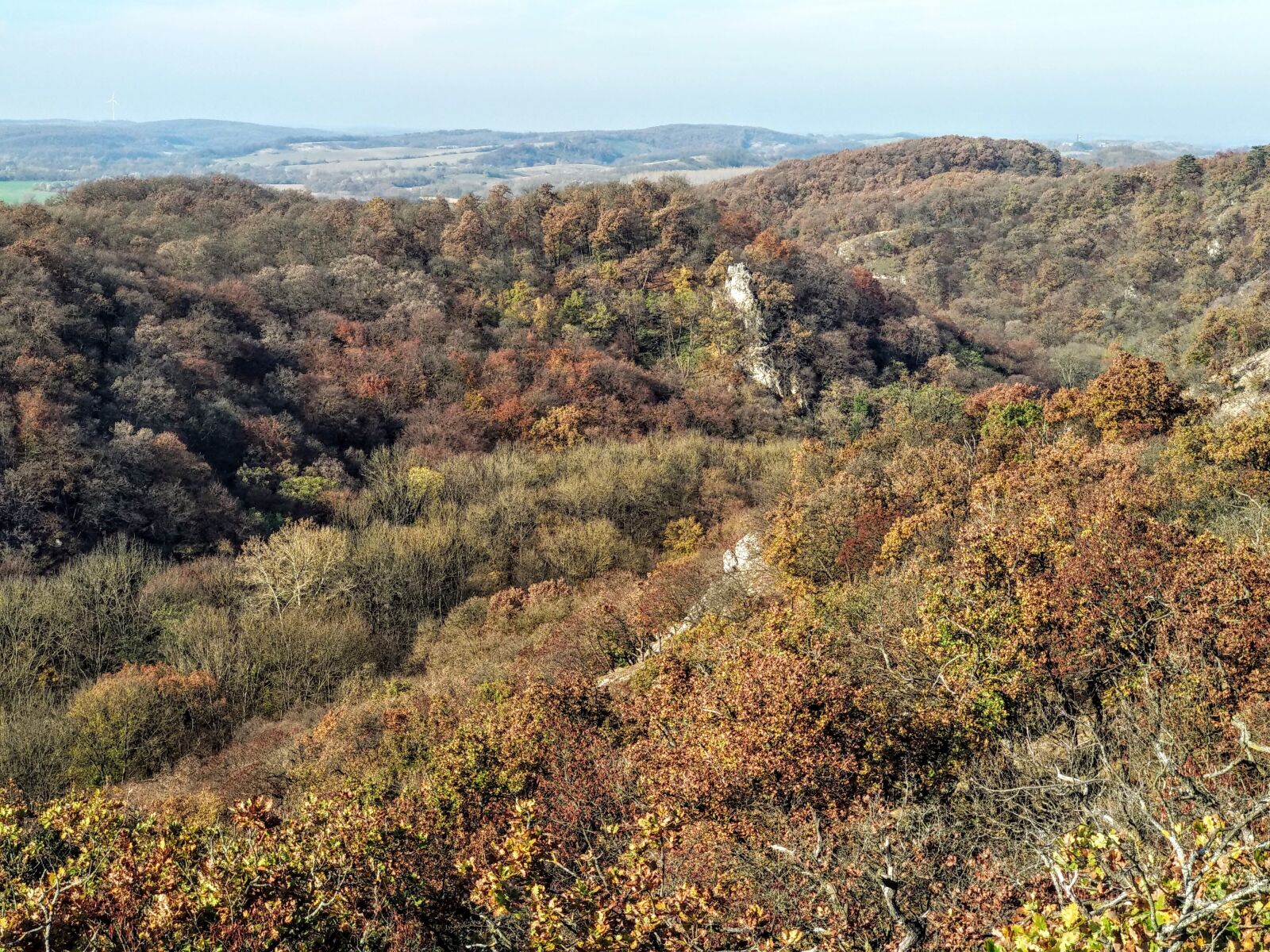 Xiaomi Mi A1 sample photo. Gaja, gorge, nature photography