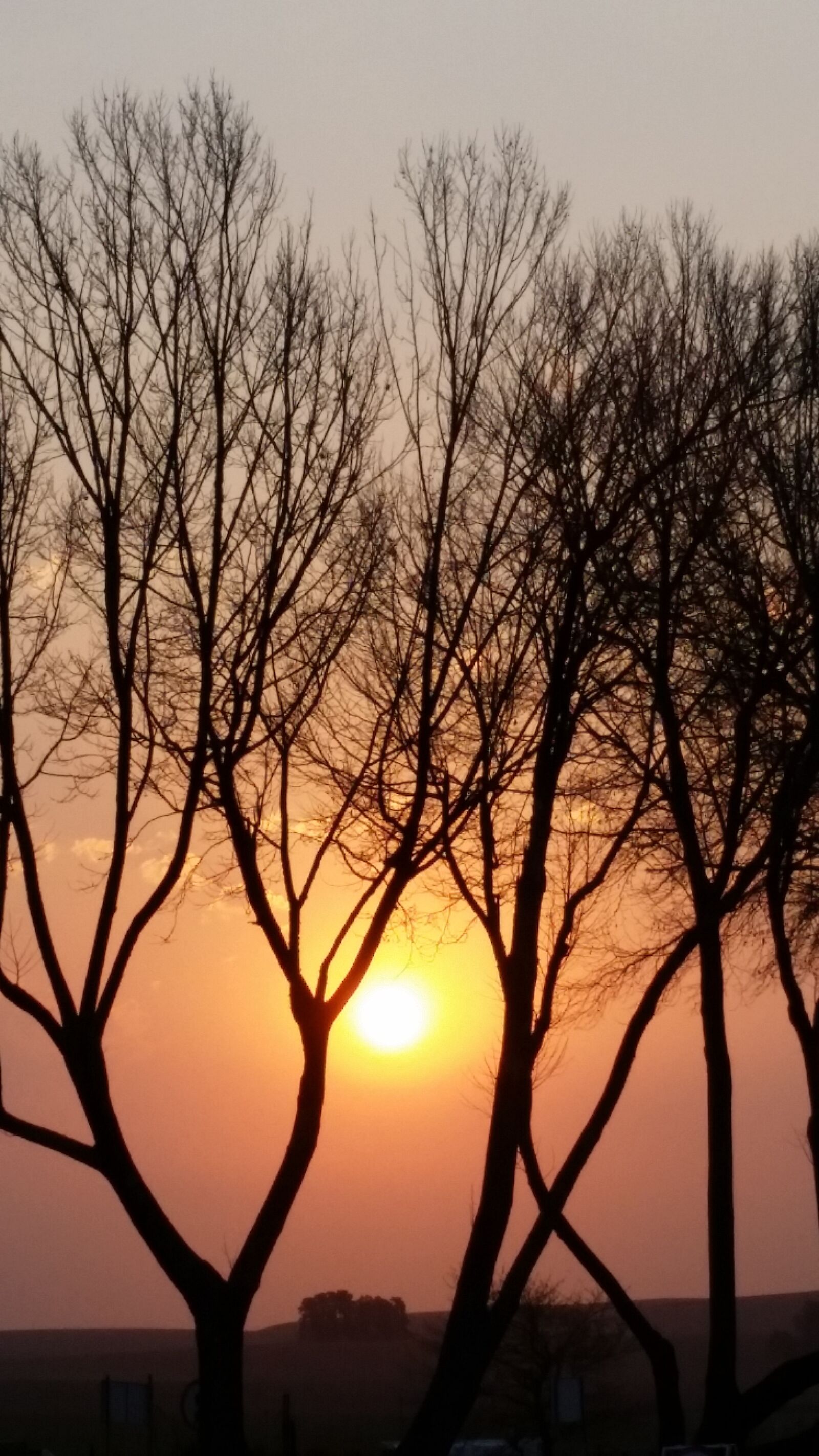 Samsung Galaxy S5 sample photo. Sunset, nature, tree photography
