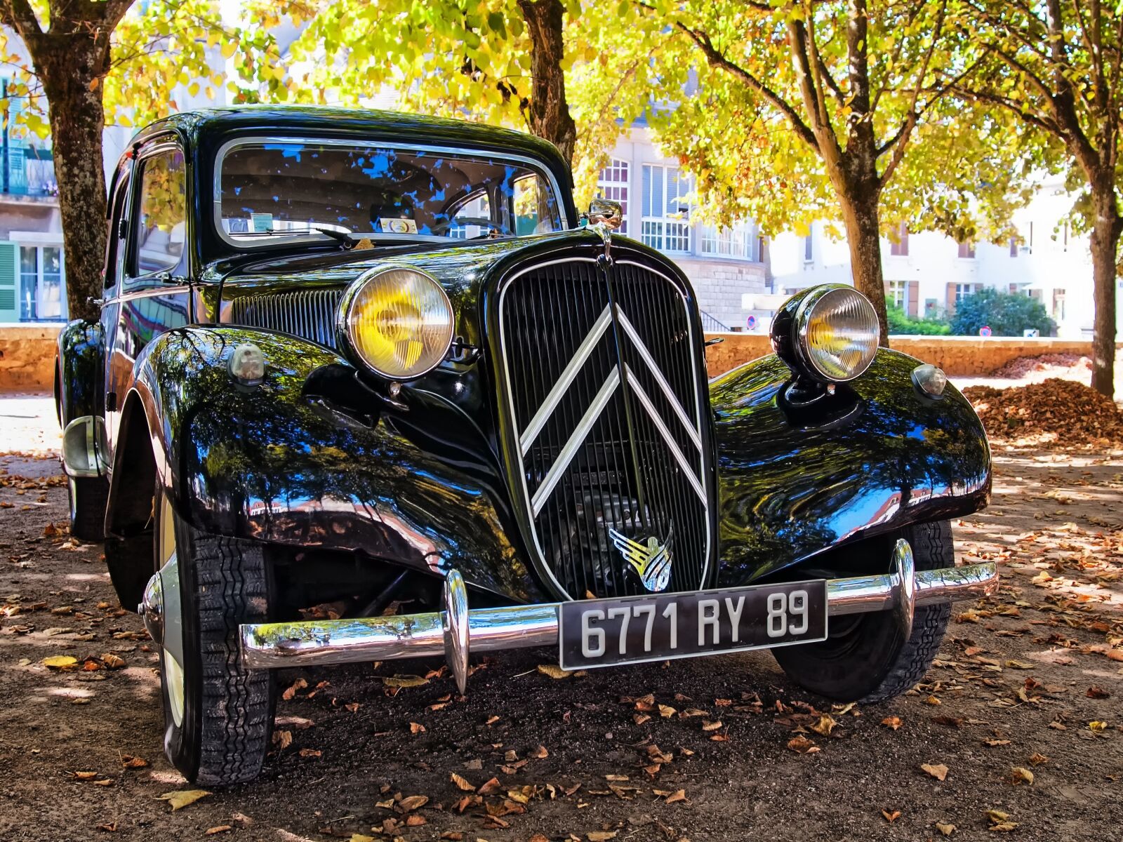 Nikon D50 sample photo. Age, citroen, auto photography