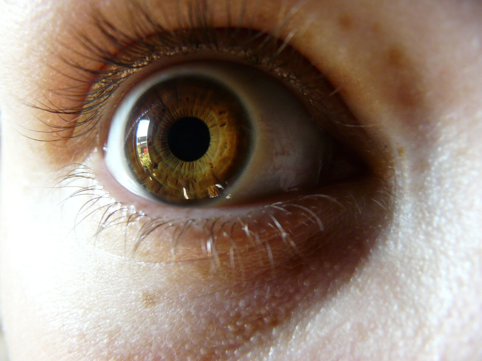 Panasonic DMC-FZ18 sample photo. Eye, human, eyeball photography