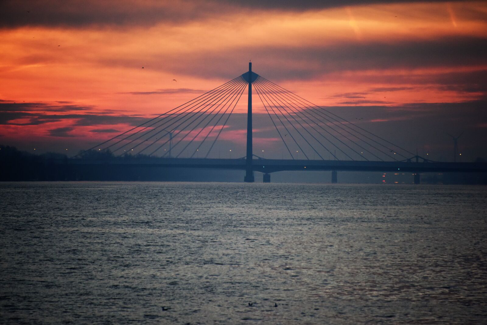 Nikon D810 sample photo. Vienna, austria, bridge photography