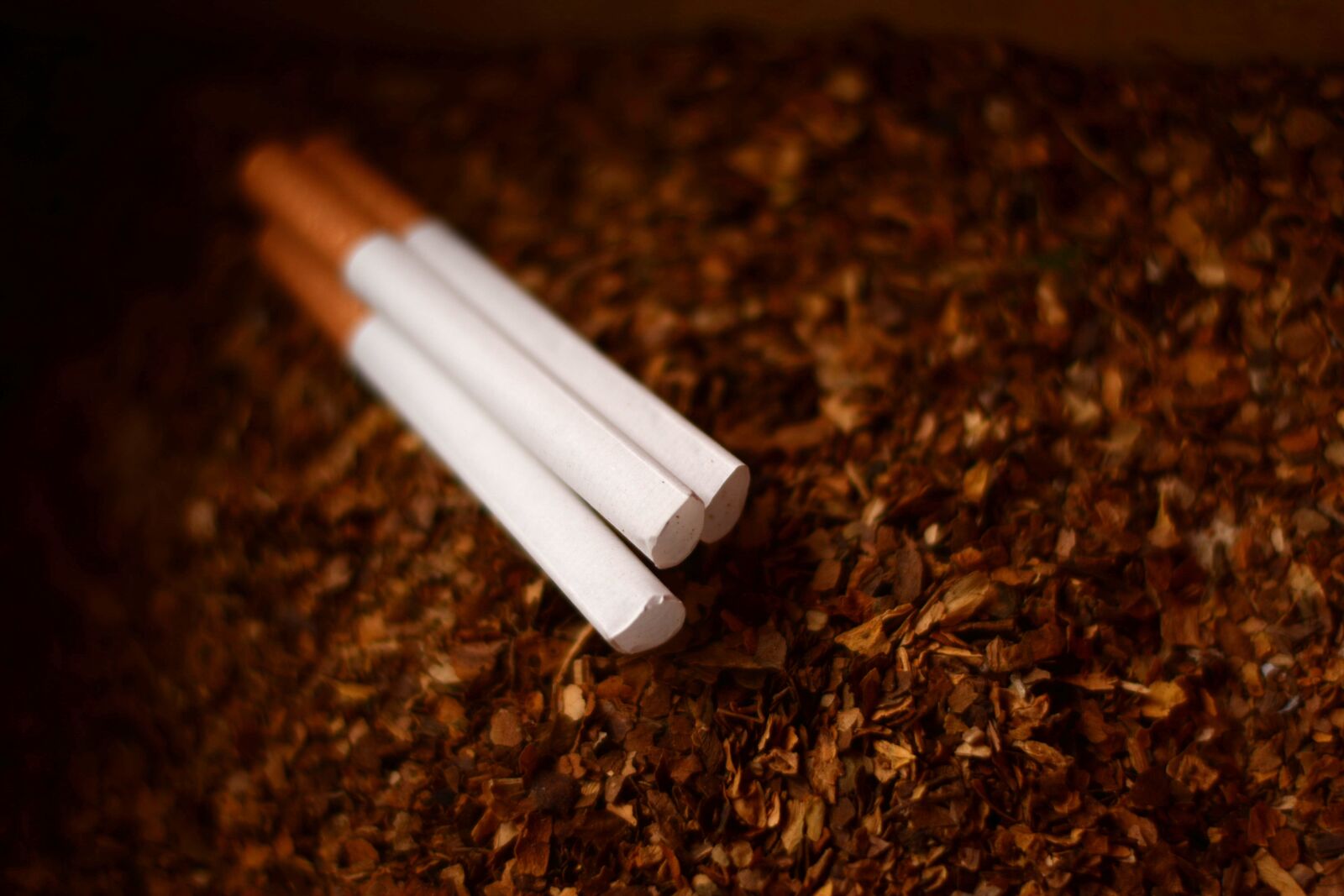 Nikon D7100 sample photo. Cigarette, smoking, smoke photography