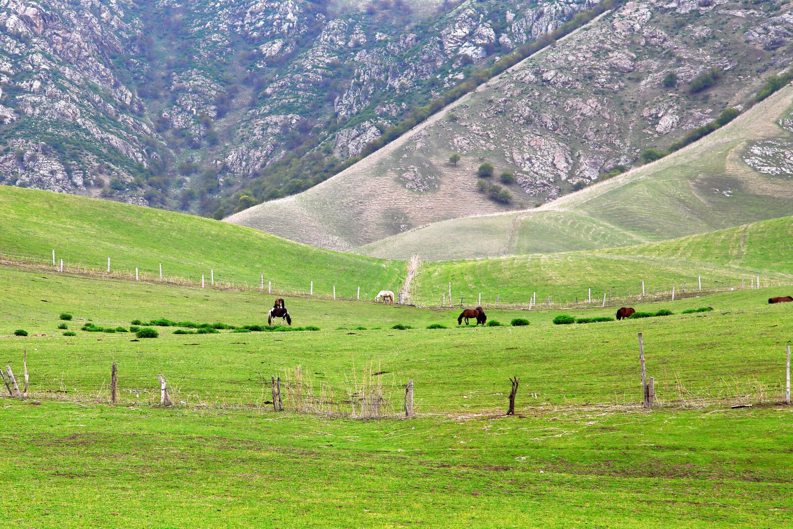 Canon EOS 5D Mark II sample photo. Landscape, nature, lawn photography