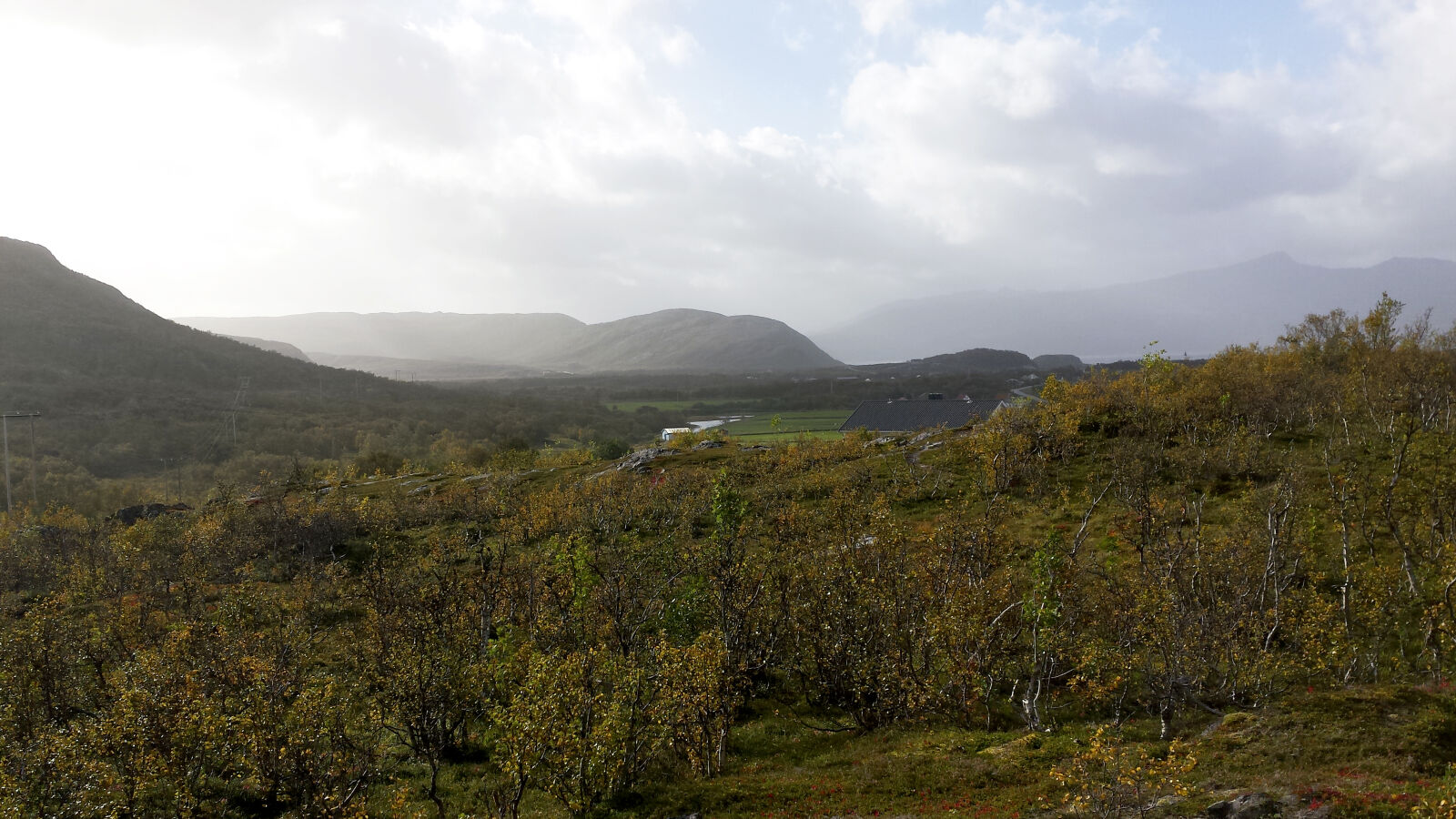 Samsung Galaxy S4 sample photo. Forest, mountains, norway, scandinavia photography