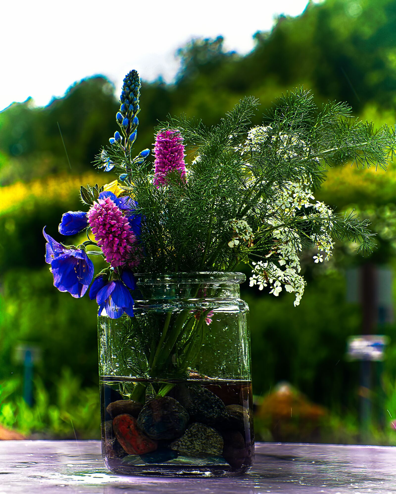 Olympus OM-D E-M5 II sample photo. Flower, plant, nature photography