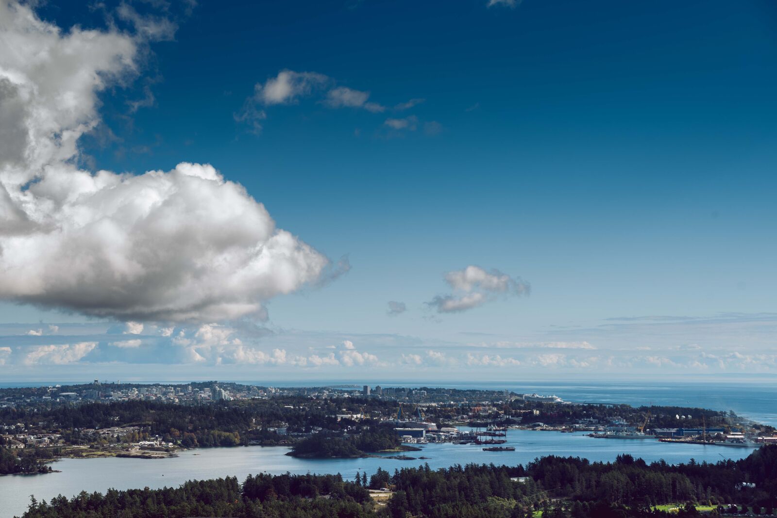 Nikon D750 sample photo. Victoria, bc, canada photography