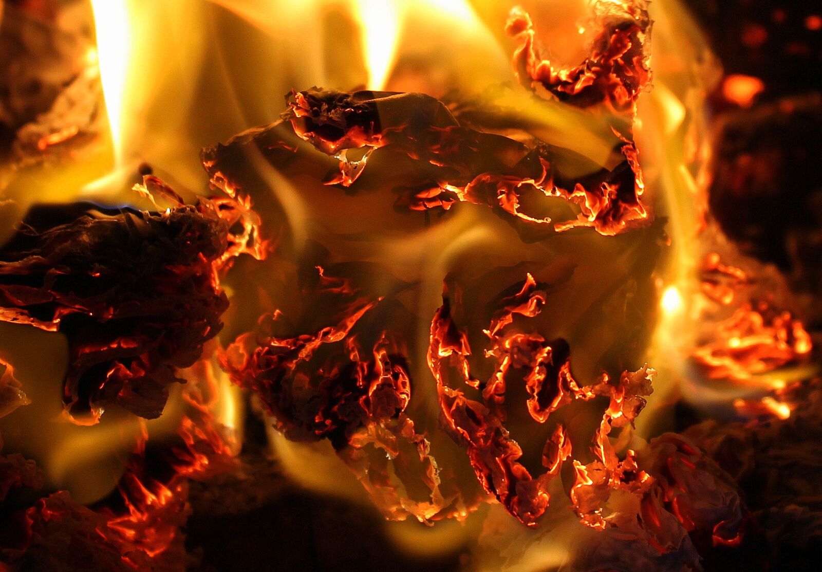 Canon EOS 1200D (EOS Rebel T5 / EOS Kiss X70 / EOS Hi) sample photo. Flames, fire, burning photography