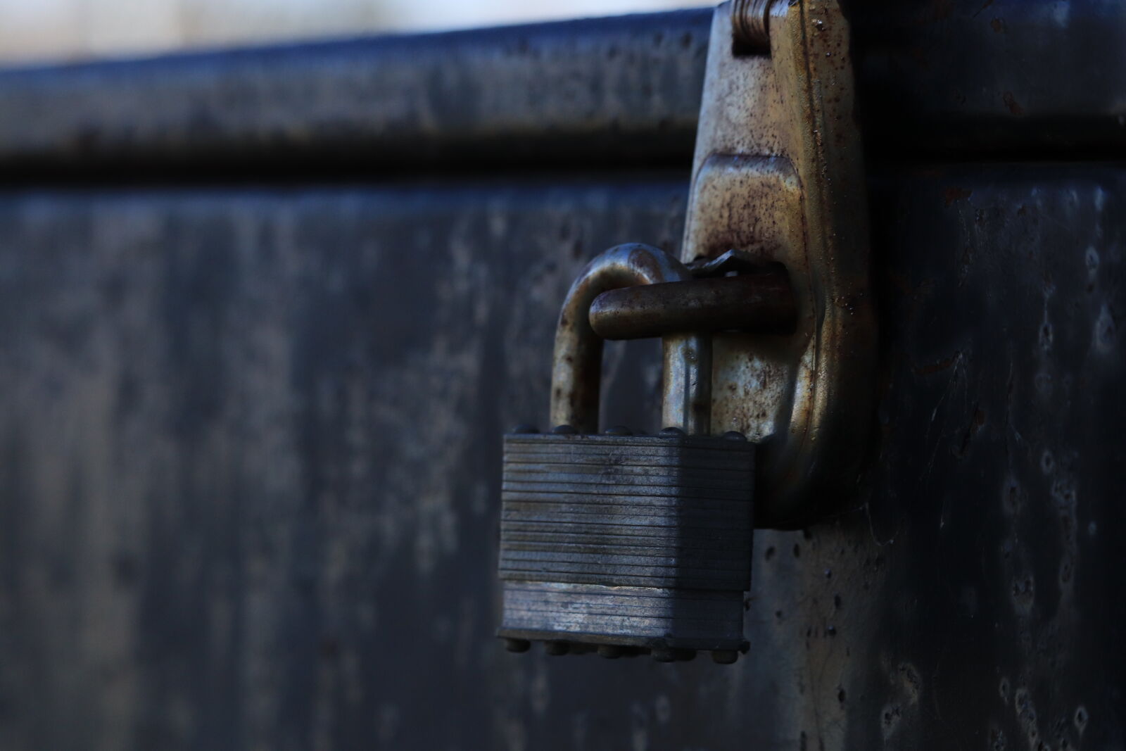 Canon EF-S 55-250mm F4-5.6 IS STM sample photo. Lock in, chat photography