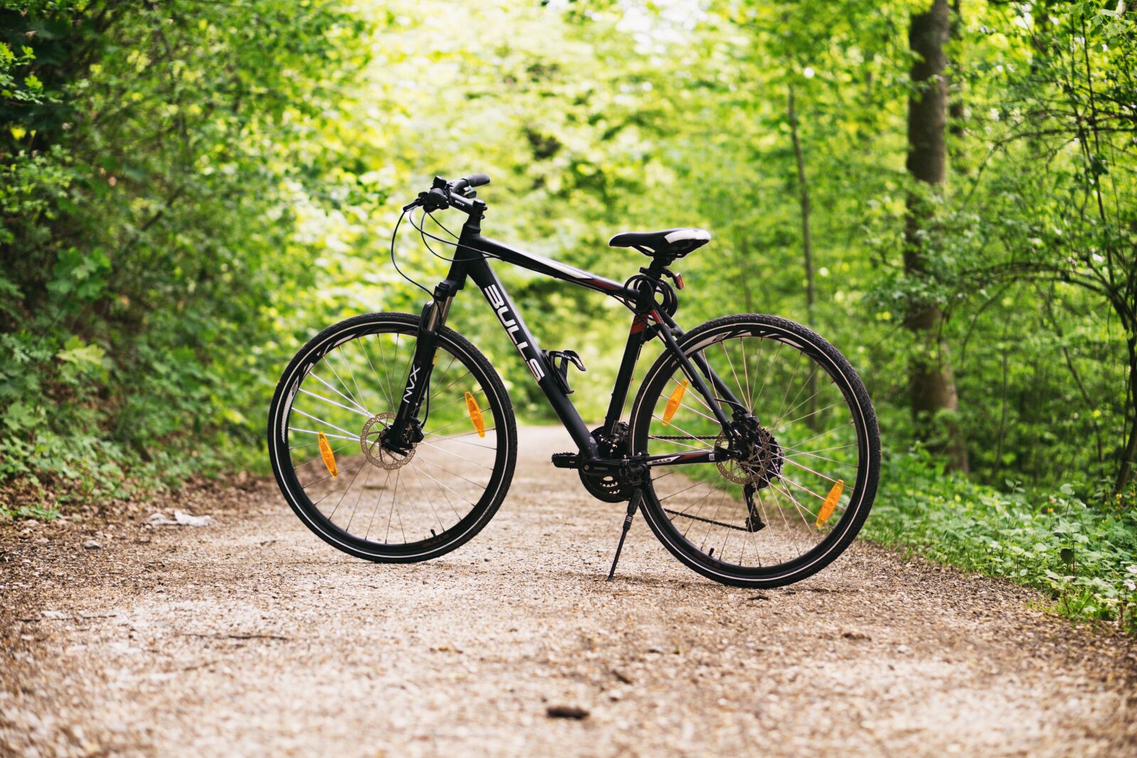 Sony a5100 sample photo. Bicycle, bike, forest photography