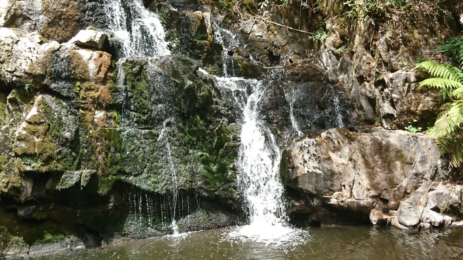 Sony Xperia XZ sample photo. Tasmania, nature, australia photography