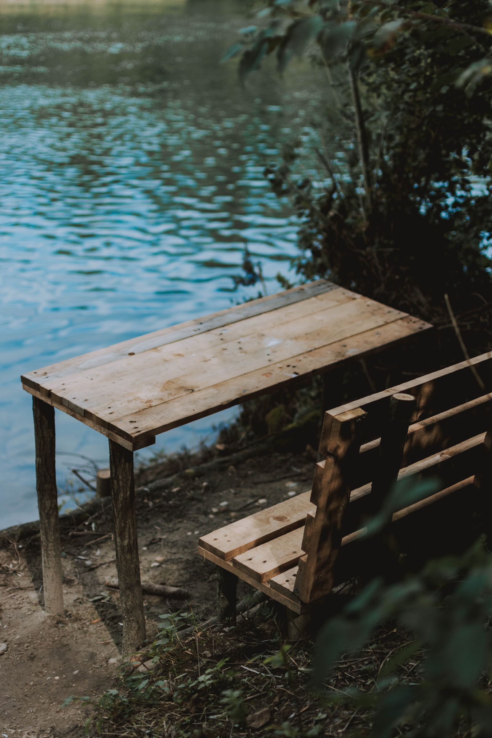 Nikon D5200 sample photo. Nature, landscape, forest photography