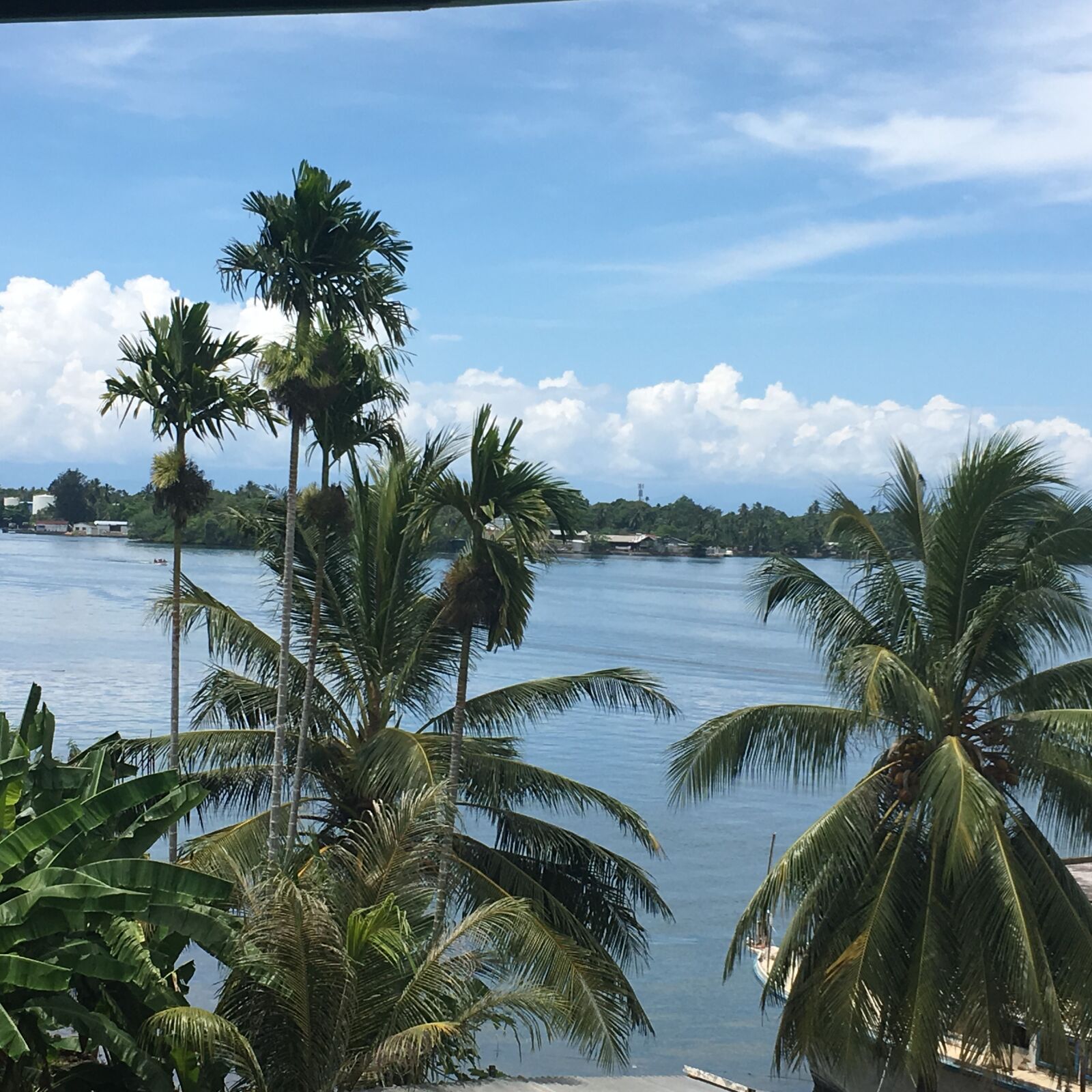 iPhone 6s back camera 4.15mm f/2.2 sample photo. Madang photography