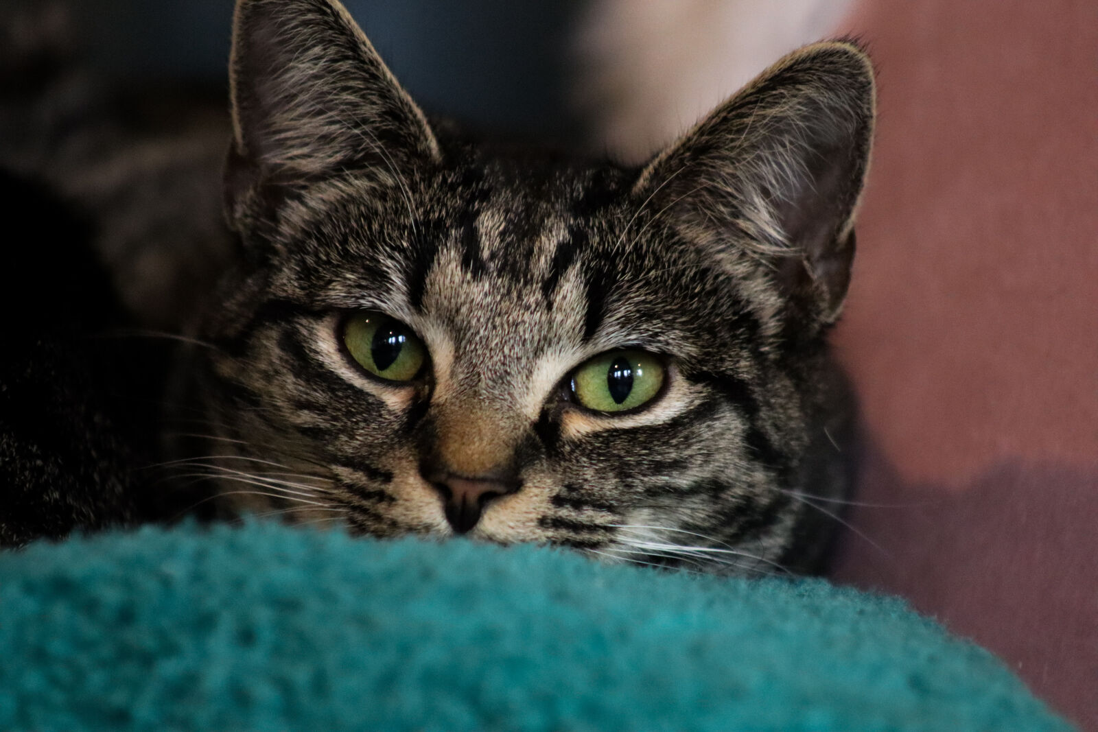 Canon EOS R100 sample photo